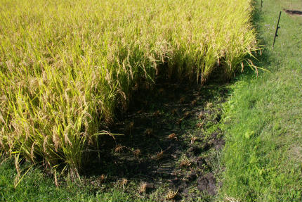 20100929_6.jpg