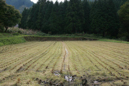 20100929_10.jpg