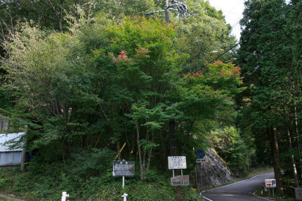 20101007_3.jpg