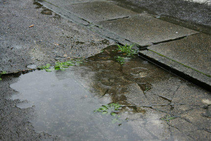 20101009_1.jpg