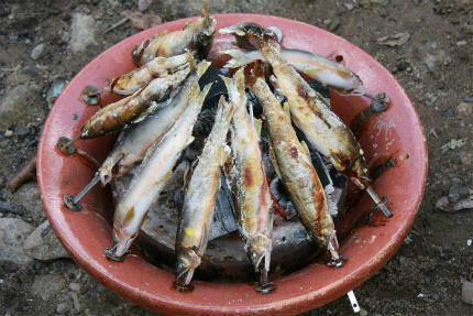 20101012_15.jpg