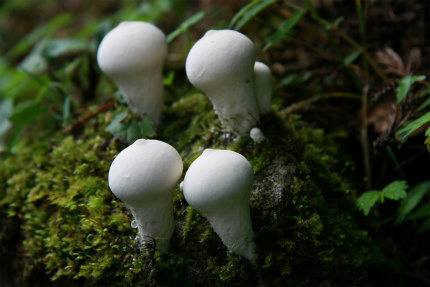 20101015_1.jpg