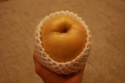 20101016.jpg
