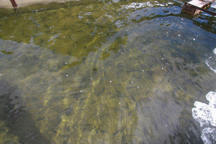 20101026_3.jpg