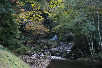 20101027_1.jpg