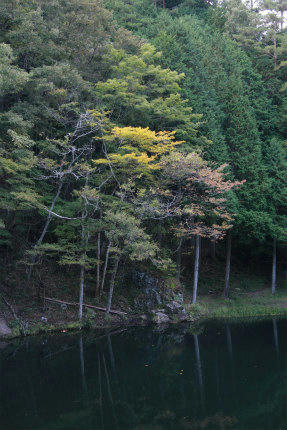 20101027_2.jpg