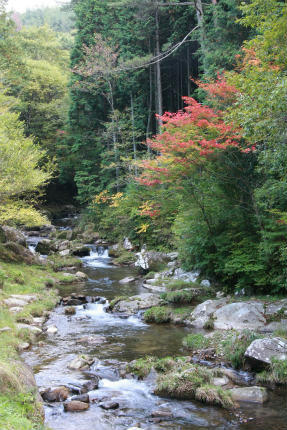 20101027_3.jpg