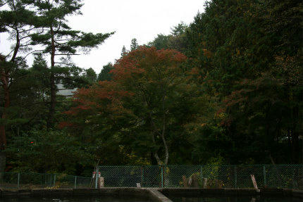 20101029_1.jpg