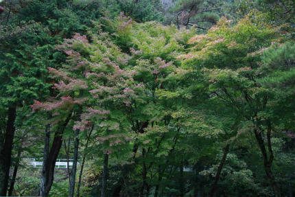 20101029_2.jpg