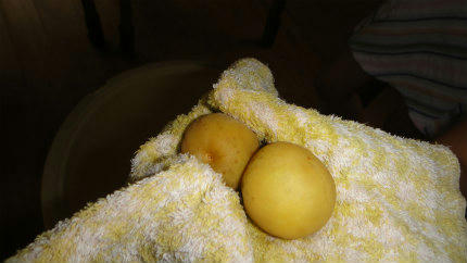20120718_8.jpg