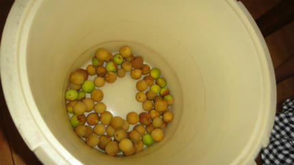 20120718_9.jpg