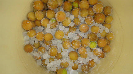 20120718_12.jpg