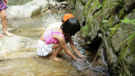 20120724_1.jpg