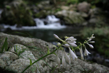 20120725_1.jpg