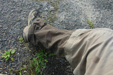 20120727.jpg