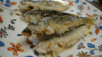 20120802_1.jpg