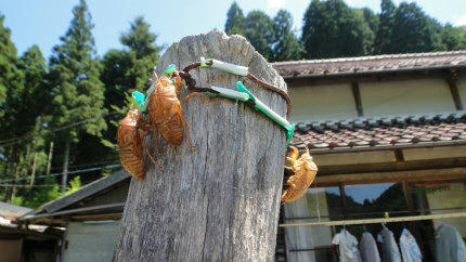 20120807_1.jpg