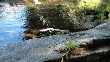 20120807_2.jpg