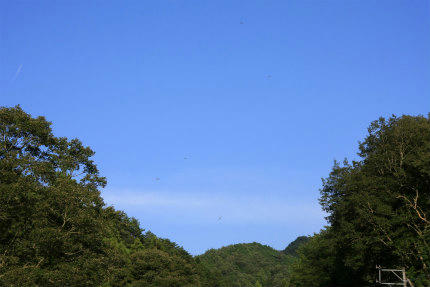 20120820.jpg