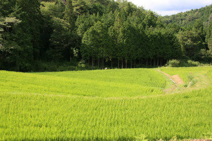 20120823_1.jpg