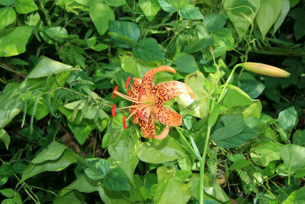 20120823_3.jpg