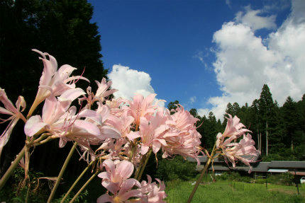 20120823_2.jpg