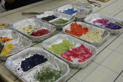20120830_4.jpg