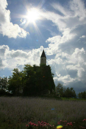 20120830_10.jpg