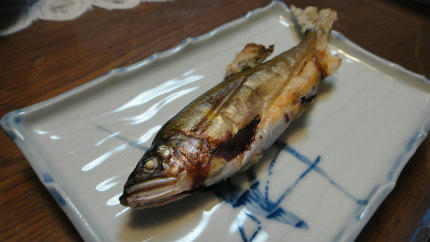 20120903.jpg