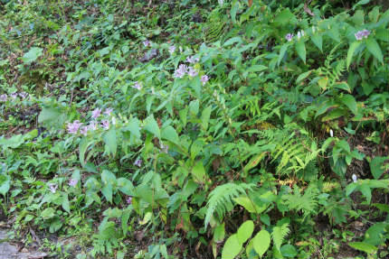 20120910_2.jpg
