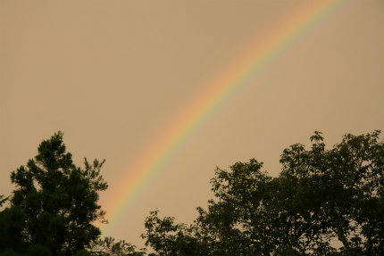 20120911_2.jpg