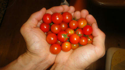 20120912.jpg