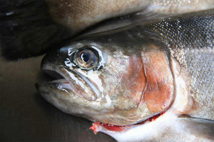 20120923.jpg