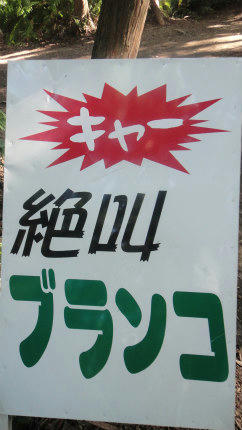 20120927_4.jpg