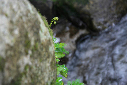 20120929_1.jpg