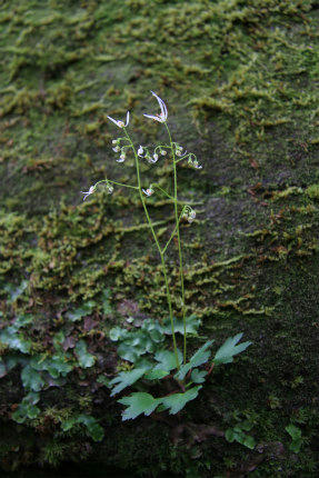 20120929_3.jpg