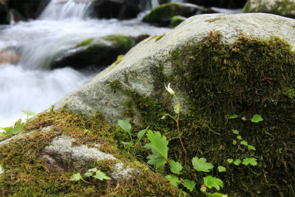 20120929_4.jpg