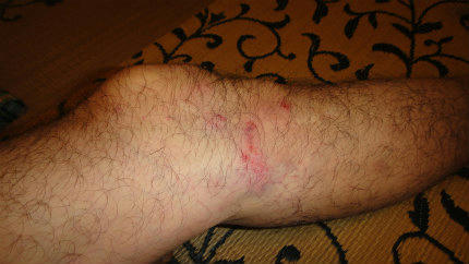 20121009_2.jpg