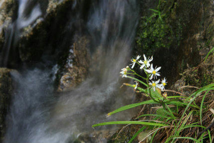 20121010_1.jpg