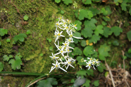 20121010_3.jpg