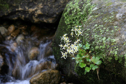 20121016_1.jpg