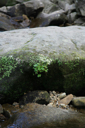20121016_2.jpg