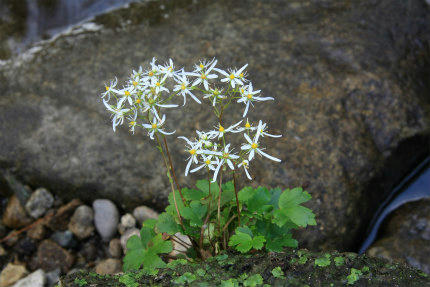 20121016_4.jpg