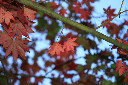 20121020_2.jpg