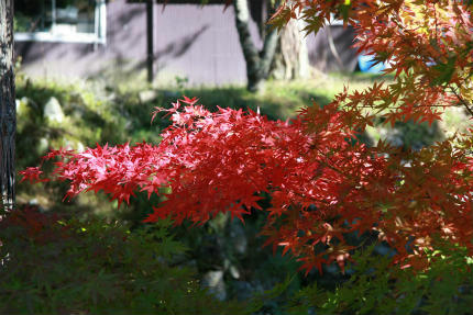 20101103_1.jpg