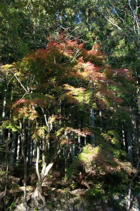 20101104_2.jpg