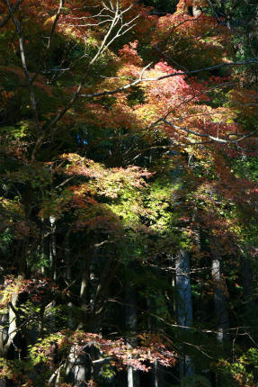 20101104_3.jpg
