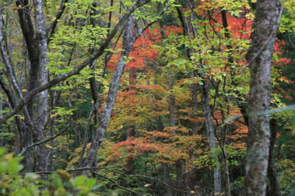 20101108_1.jpg