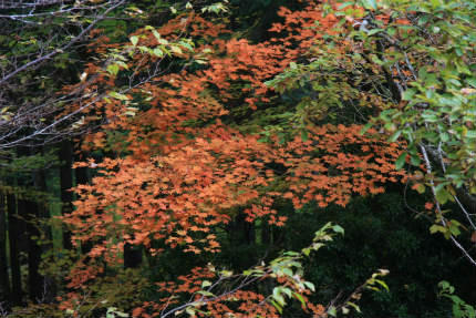 20101108_2.jpg