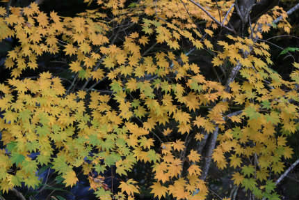 20101108_3.jpg